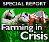 Farming in crisis