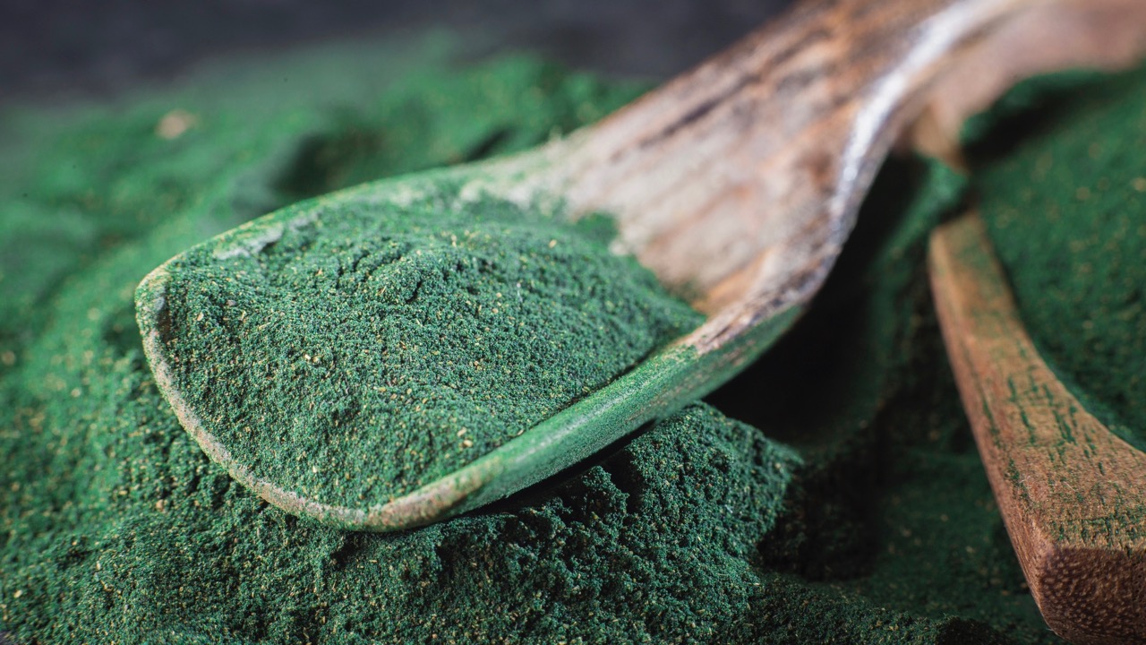 A wooden spoon in scooping from a pile of spirulina
