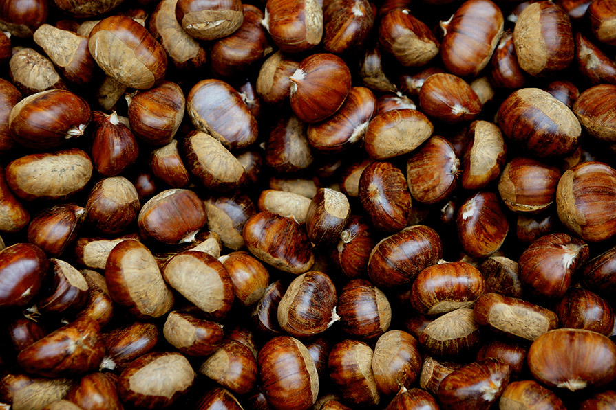 A large collection of chestnuts