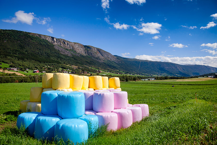 A collection of hay bales wrapped in blue, yellow and pink plastic 
