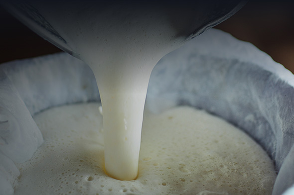 Straining dairy through a cloth
