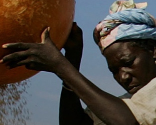 Why we need to expand our crop menu