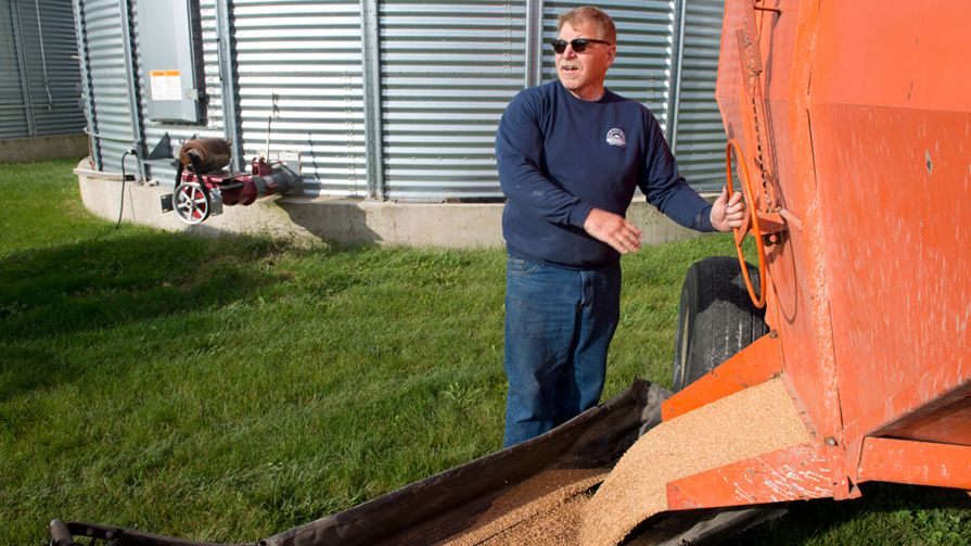 Harold unloading wheat from a large machine