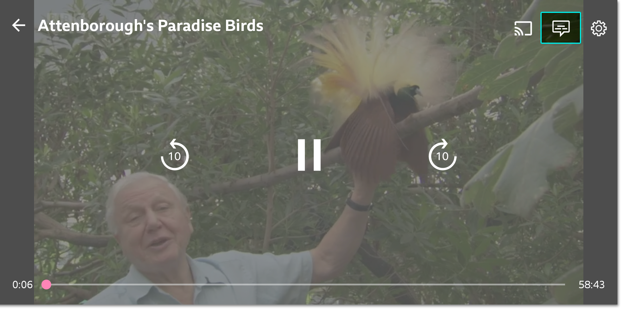 Image of the playback screen on the mobile app. The accessibility icon is highlighted
