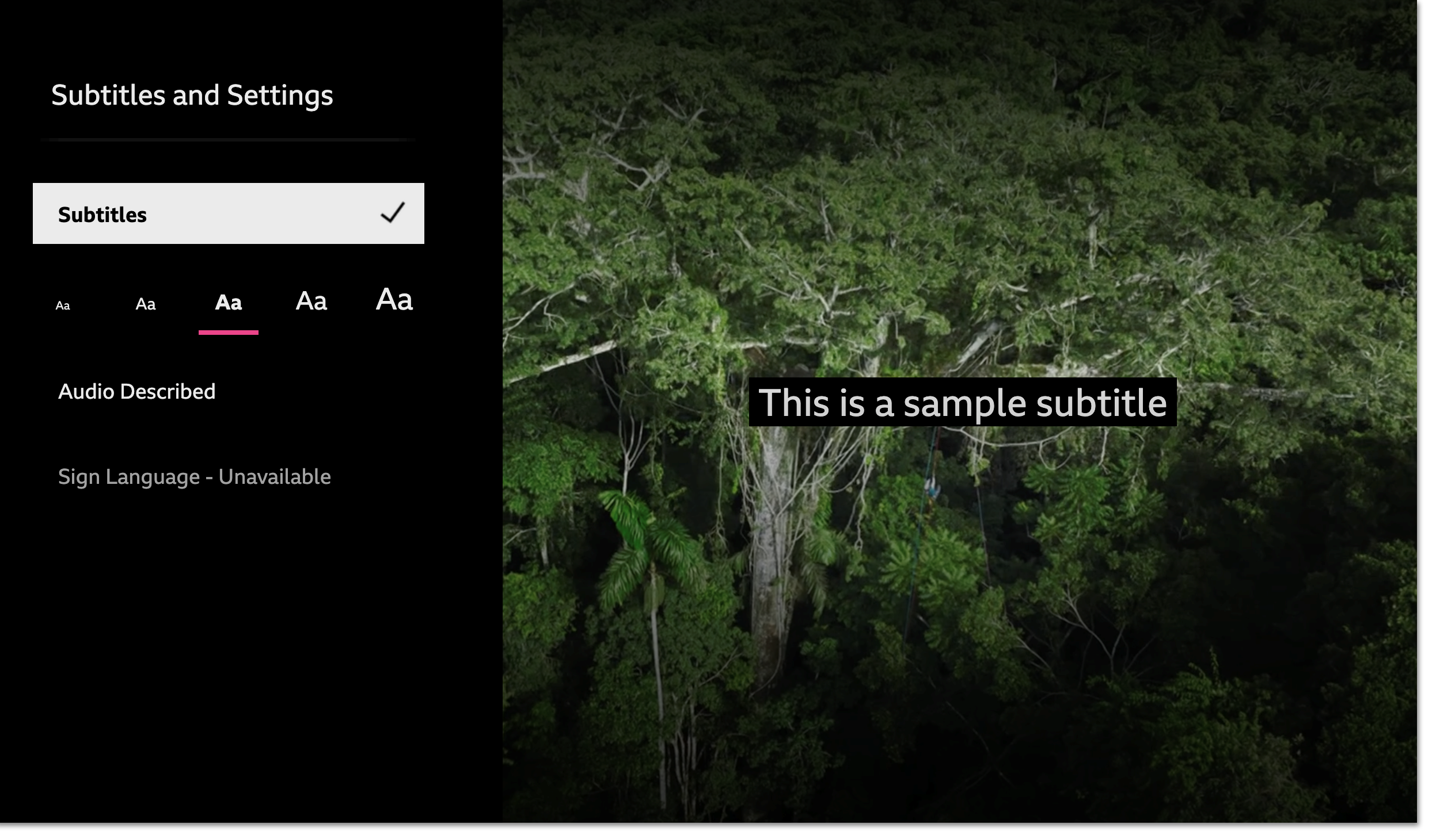 Image of the accessibility menu on the iPlayer TV app