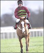 Republic of Ireland jump jockey Adrian Maguire