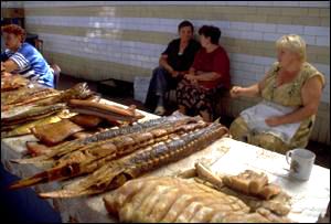 Sturgeon in fish market near Caspian Sea