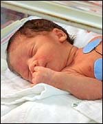 A baby in an incubator