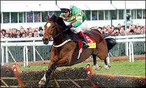 Istabraq clears the second hurdle before being pulled up in the Champion Hurdle at Cheltenham