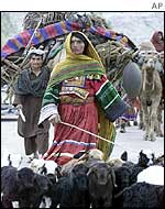 Afghan nomads