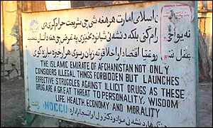 Taleban sign banning opium cultivation