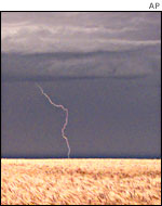 A cornfields in Kansas in a thunderstorm