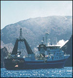 Vent systems found off New Zealand