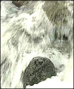 Glenrigging Beck, Cumbria