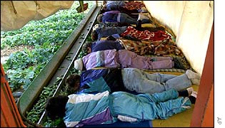 Polish cucumber pickers