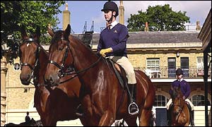 Royal Carriage Horses
