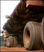 Logging truck TVE