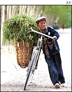 Chinese boy with a bike