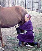 Horse milking in Kazakhstan, photo courtesy of the University of Exeter
