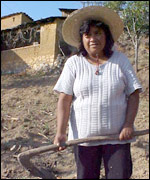 Olga Maldonado, Oaxacan corn farmer
