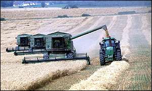 Harvesting in a EU farm