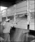 At work at Saxon Park 