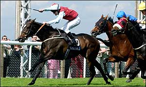 Royal Rebel finished the race strongly