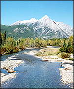 River bed in Kananaskis Country, Alberta, Canada
