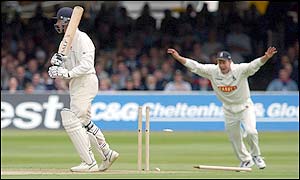 Essex's John Stephenson is bowled by Warwickshire's Neil Carter 