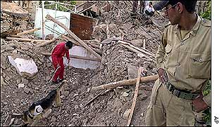 Red Crescent dog searches through the rubble