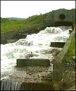 Water way near the plant