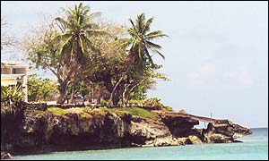 coastal Tobago