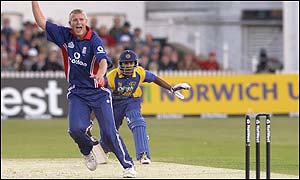 Matthew Hoggard of England celebrates running out Russel Arnold