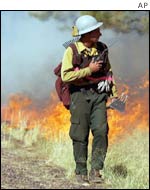 Firefighter near Show Low, Arizona
