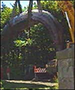 beached whale lifted by crane