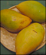 Three mangoes