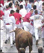 Pamplona bull runners sprint ahead of a fighting bull 