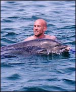 Copyright Graham Timmins, Irish Dolphins