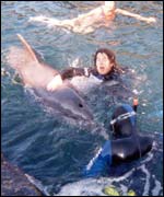 Copyright Kay and Rob