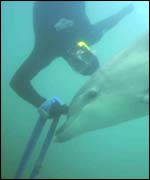 Copyright Jutta Maassen