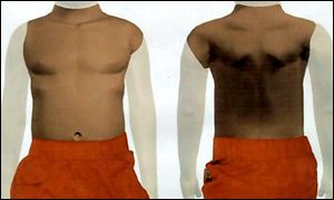 Torso image