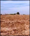 Dry, barren field (Pic: Red Cross)