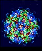 Virus, Oxford University