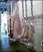 Carcasses in slaughterhouse BBC