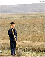 A North Korean boy on a collective farm