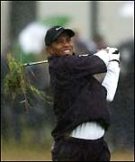 Tiger Woods hacks the ball out of the rough