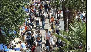 Palms planted by River Seine in Paris