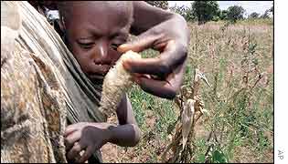 A mother in Malawi tries to feed her child on their drought-ravaged farm