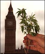 A cannabis protest in Westminster