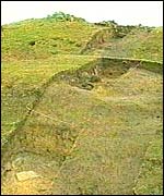 The rabbits have been digging through the foundations